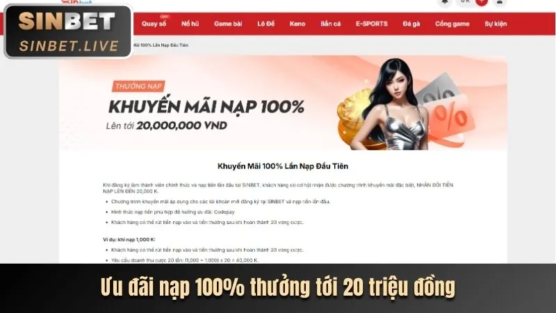Phần thưởng độc quyền cho thành viên VIP bet12